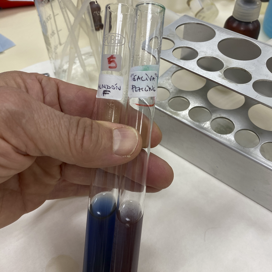 fehling de almidon y almidón hidrolizado por amilasa