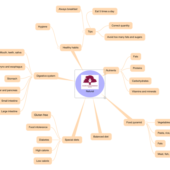 MIND MAP