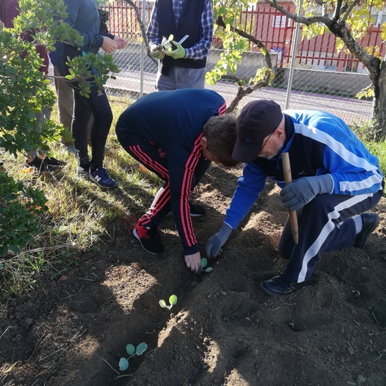 Huerto escolar 2019/20 2