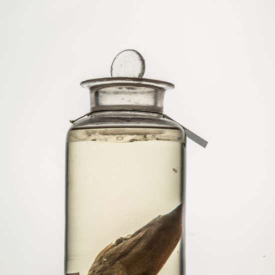 IES_CARDENALCISNEROS_CIENCIASNATURALES_126