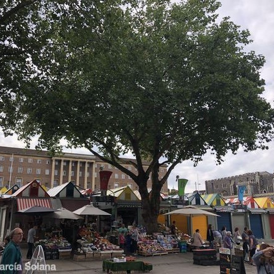 Norwich Agosto 2018 7