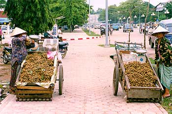 Puestos móviles de fruta. Vientiane, Laos