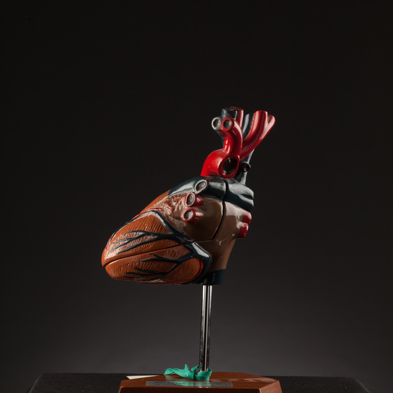 IES_SANISIDRO_BIOLOGIA_174