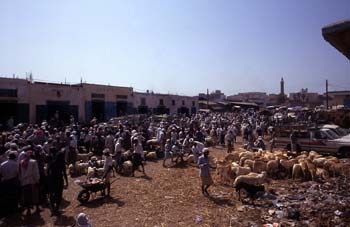 Mercado de ganado en Bayt al Faqih, Yemen