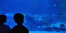 FOTOS AQUARIUM 3 12