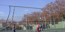Campo de voleibol