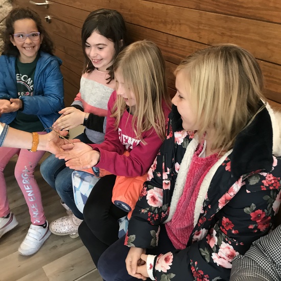 2020_02_27_3º visita Insectpark (3)_CEIP FDLR_Las Rozas 9