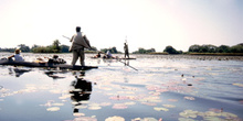 Nenúfares y chalupas en el Delta del Okawango, Botswana