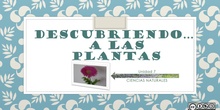 DESCUBRIENDO A LAS PLANTAS