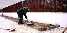 Trabajos de jardinería