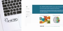 EVIDENCIAS OPTATIVAS: ACCESIBILIDAD . ATENCIÓN A LA DIVERSIDAD Y EMPODERAMIENTO DEL ALUMNADO