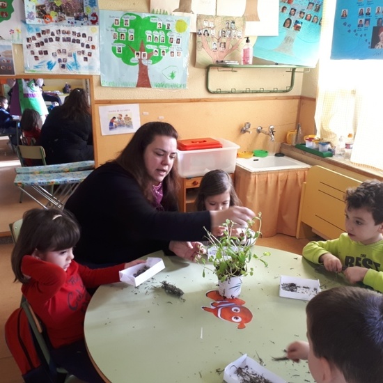 TALLER DE PLANTAS - 3 AÑOS INFANTIL 6