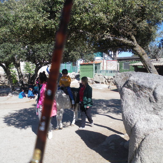 SALIDA A GRANJA ESCUELA EL PALOMAR (Chapinería ) 16