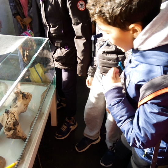 VISITA A GREFA. 5º CURSO 23