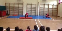 ACROSPORT 1