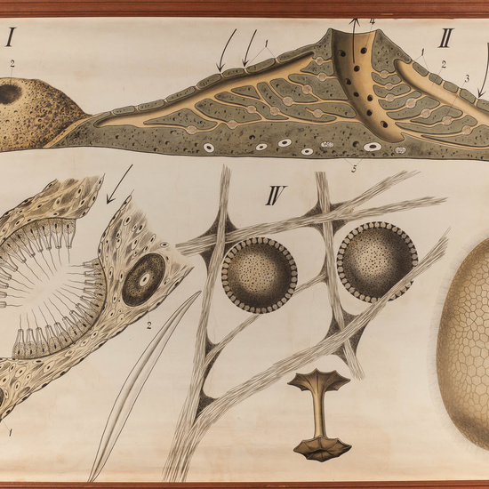 IES_SANISIDRO_LAMINAS_005