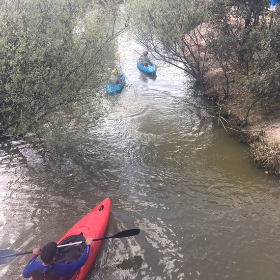 Cuarto disfruta de actividades de multiaventura_CEIP FDLR_Las Rozas 6
