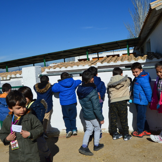 GRANJA ESCUELA ALBITANA 2018 20