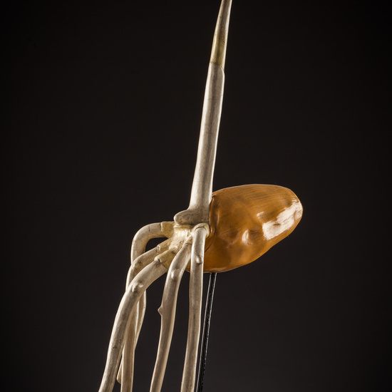 IES_SANISIDRO_BIOLOGIA_197