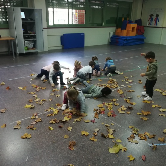 Día 05 de noviembre 30