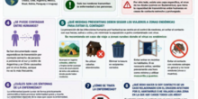 HANTAVIRUS