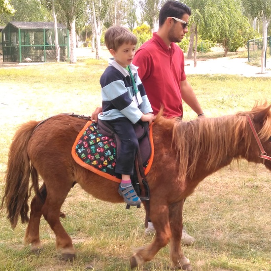 Infantil 3 años en la granja_CEIP Fernando de los Ríos_Las Rozas_2017-2018 12