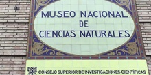 INFANTIL - 5 AÑOS A - MUSEO CIENCIAS NATURALES - ACTIVIDADES