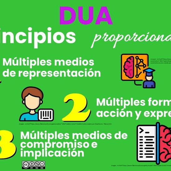 DUA -Diseño Universal Aprendizaje 