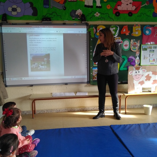 Terminamos nuestro proyecto 29