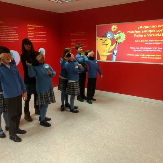 Aula Salud 4º EP marzo 2018_1 45