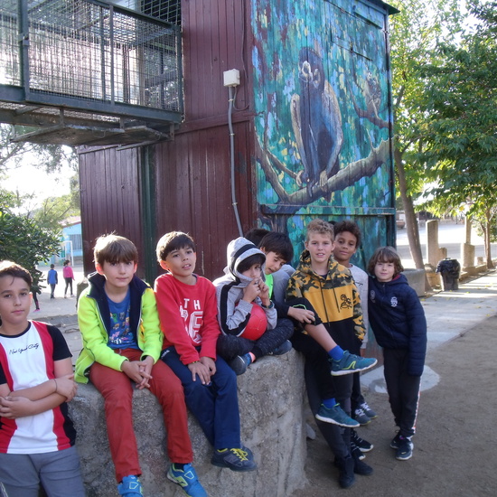 NOCHE MÁGICA 2019 (2ª parte) 33