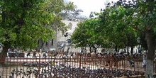 Fatih Camii, Estambul, Turquía