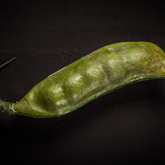 IES_ISABELLACATOLICA_BIOLOGIA_178