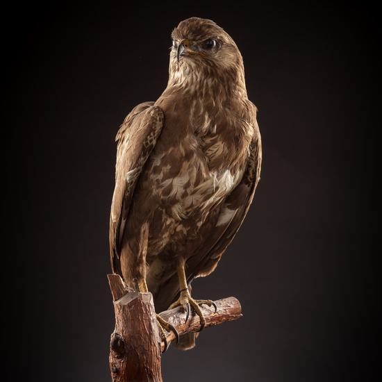 IES_CERVANTES_BIOLOGIA_009