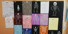 The Skeletons of 1º B
