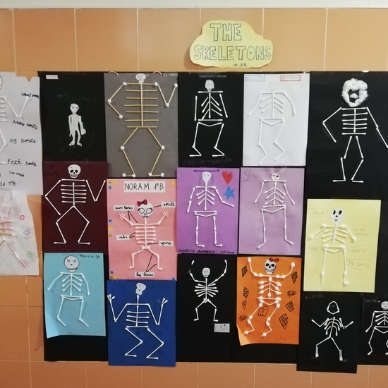 The Skeletons of 1º B