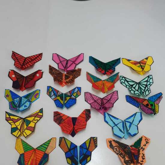 Origami 5º