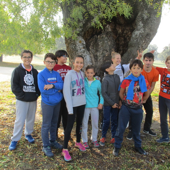 EN MÚLTIPLE 6º - 2019 (2ª Parte) 10