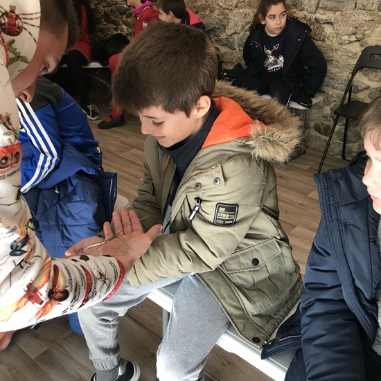 2020_02_27_3º visita Insectpark (3)_CEIP FDLR_Las Rozas 13