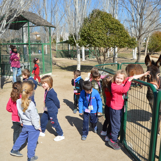 GRANJA ESCUELA ALBITANA 2018 44