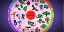 PRIMARIA - 5º - NATURAL SCIENCE - THE FIVE KINGDOMS - FORMACIÓN