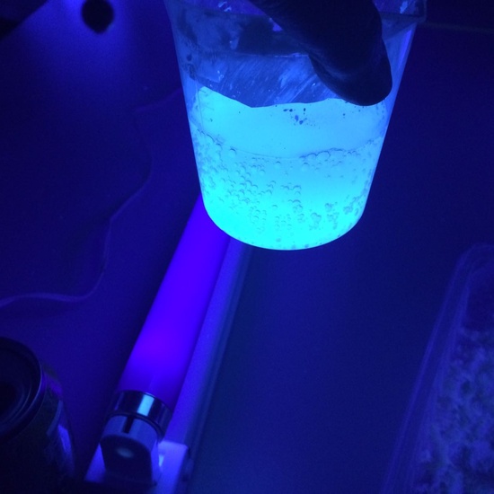 EXPERIMENTANDO CON MAICENA  Y TÓNICA 7