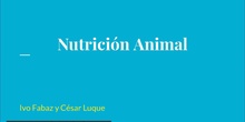 Nutrición animal