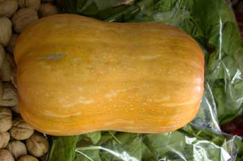 Calabaza