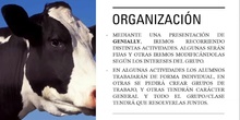 Tarea3_Las vacas