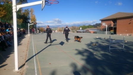 La Unidad Canina de la Policia Municipal de Las Rozas visita el cole_CEIP FDLR_Las Rozas_2017  2