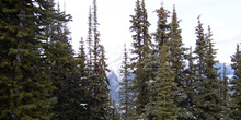 Monte Sulphur, Parque Nacional Banff