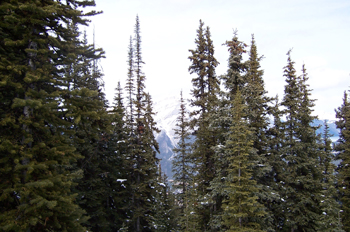 Monte Sulphur, Parque Nacional Banff