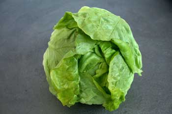 Lechuga