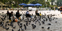 Plaza de Beyacit, Estambul, Turquía